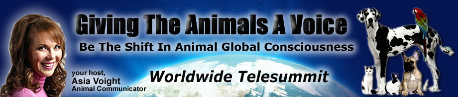 Giving the Animals a Voice